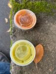 Two to-go cups of red and green salsa from La Sierrita food truck in Hood River, Oregon